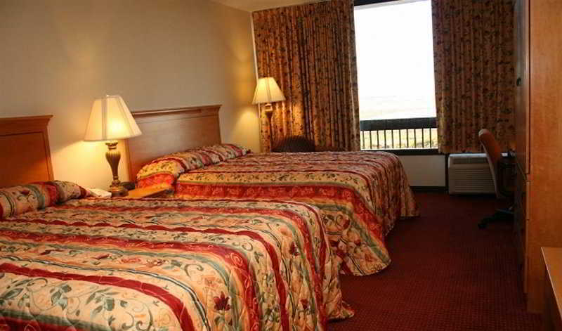 Wyndham Garden Atlanta Airport Hotell College Park Rom bilde